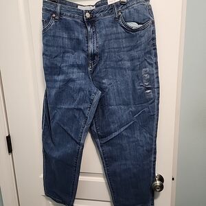 Sonoma Plus Size 16W Women's Blue Mom  Jeans